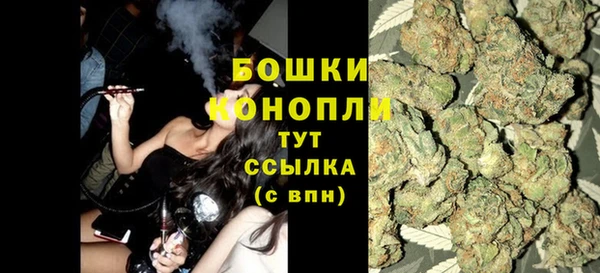 ПСИЛОЦИБИНОВЫЕ ГРИБЫ Иннополис