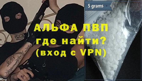 ПСИЛОЦИБИНОВЫЕ ГРИБЫ Иннополис
